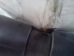 IMG_20110408_155102.jpg