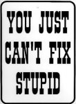 Stupid Sign.jpg