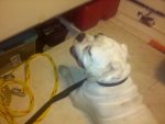 Erin's phone Pics 105.jpg
