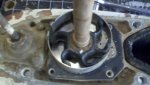 2011-04-16_14-57-46_171.jpg