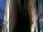 IMG00319-20100930-1423.jpg