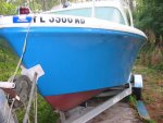 barnacle 086.jpg