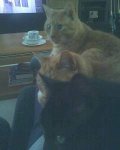 18-12-07_1315.jpg