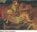 1967 Ducktwin.jpg