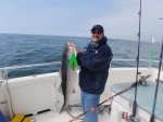 26 lbs 41 inch Striper.jpg