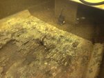 IMG_20110521_155941.jpg