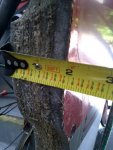 transom thickness.jpg
