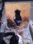 IMG-20110527-00365.jpg