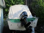 Rear Covered.jpg
