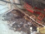 !cid__downsized_0602111913.jpg