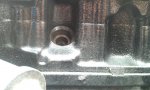 IMAG0094.jpg