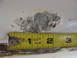 Blistermeasure001.jpg