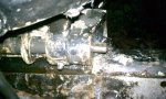 IMAG0221.jpg
