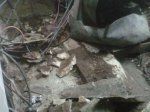 IMG00160-20110615-0051.jpg