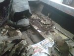 IMG00162-20110615-0052.jpg