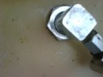 IMG00202-20110622-1532.jpg
