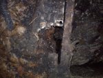 20110624121922.jpg