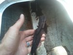 2011-06-26 16.31.07.jpg