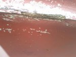 IMG_20110701_135047.jpg