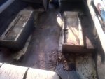 IMG00967-20110608-1751.jpg