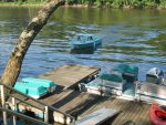 Musky River 036.jpg