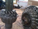 IMG00038-20110720-1750.jpg