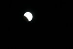 IMG_1187.JPG
