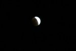 IMG_1198.JPG