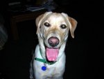 DSCN3219.JPG