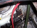 100_4184.jpg