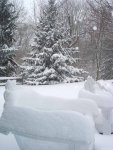 snow-3_8_08.jpg