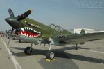 p40 tiger shark.jpg