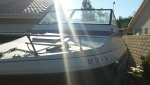 100_0061.jpg