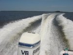 Evinrude running.jpg