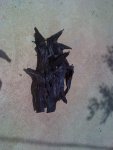07-29-11_1342.jpg