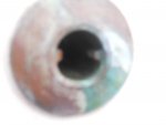 DSCN0227.jpg