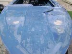 aug 1 2011 021.jpg