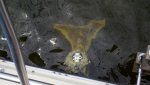 2011-07-20_12-34-33_113.jpg