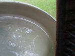 Oil in pan.jpg
