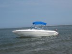 IMG_0919.jpg