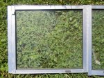 MY BOAT WINDSHIELD C RESIZED.jpg