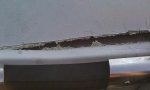 IMAG0478.jpg