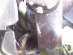 100_3202.jpg