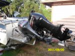 SDC11494a.jpg