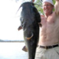 fishn4fn