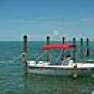 Folly77