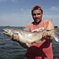 westman407