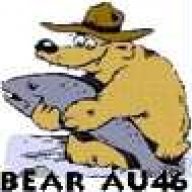 bear_au46