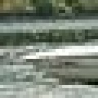 Shadow66