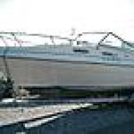 bayliner saratoga